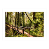 Ewoldsen Trail Bridge  (Print Only) thumbnail