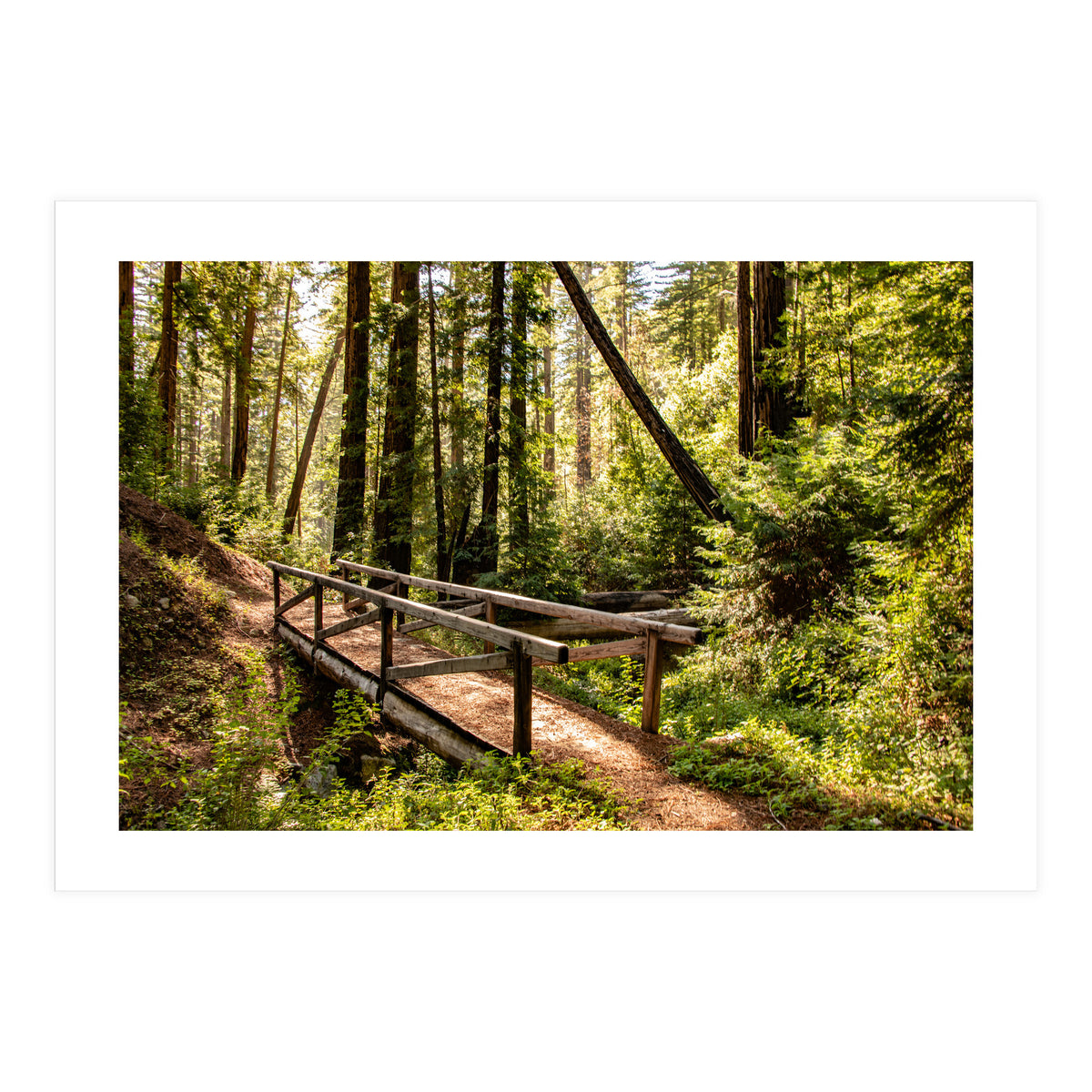 Ewoldsen Trail Bridge  (Print Only)