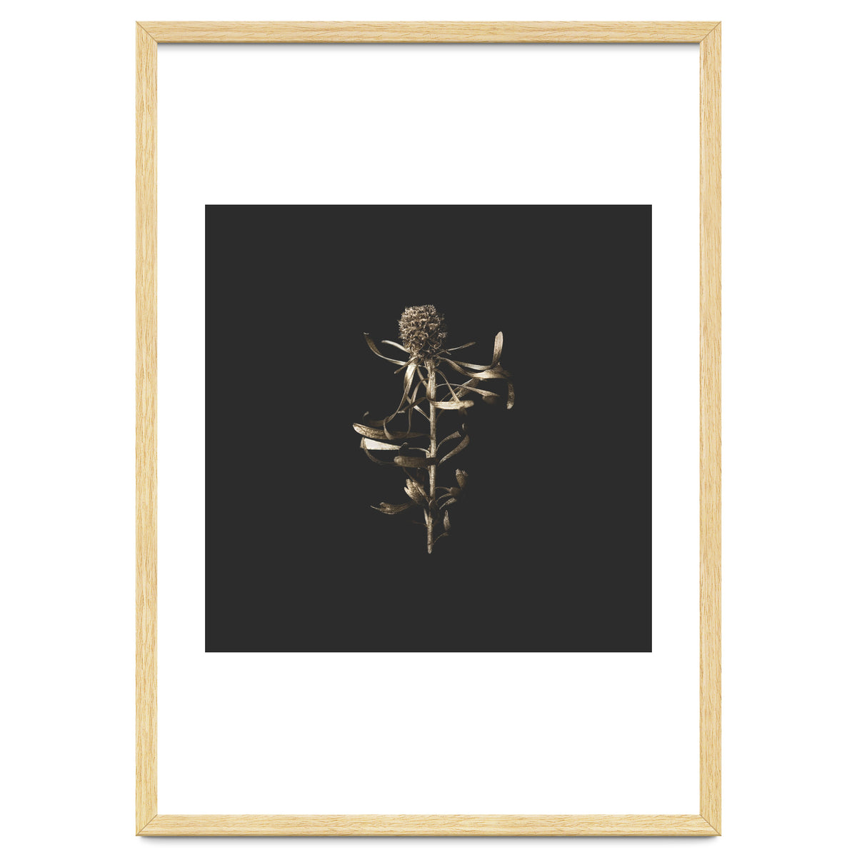 Golden Botanicals -  Square