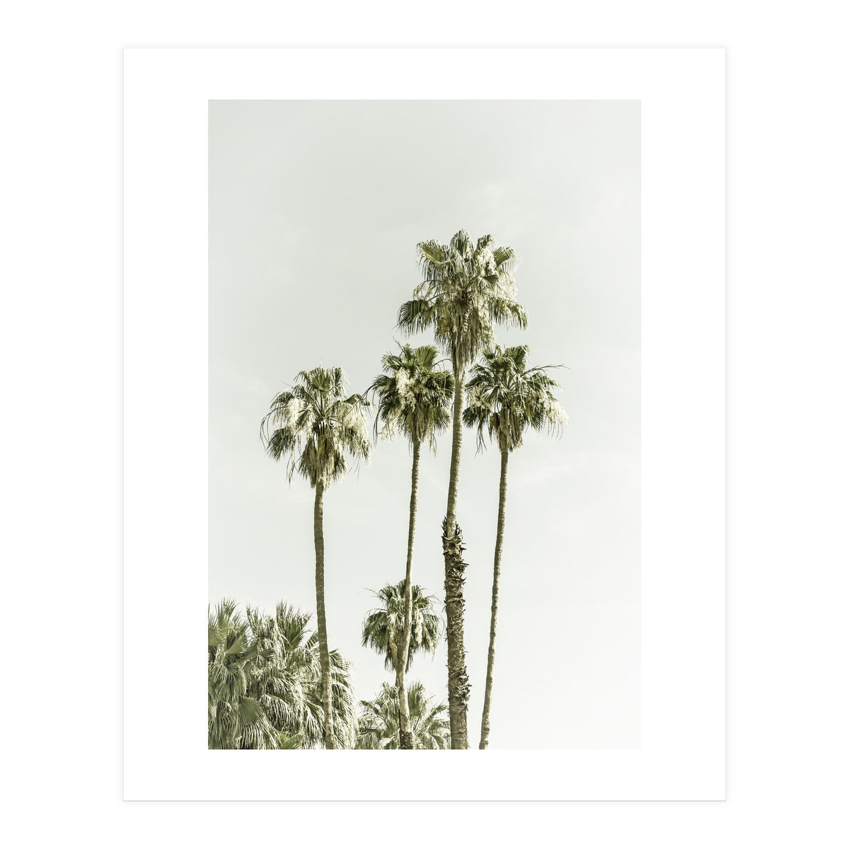 Palm Trees Summertime  (Print Only)