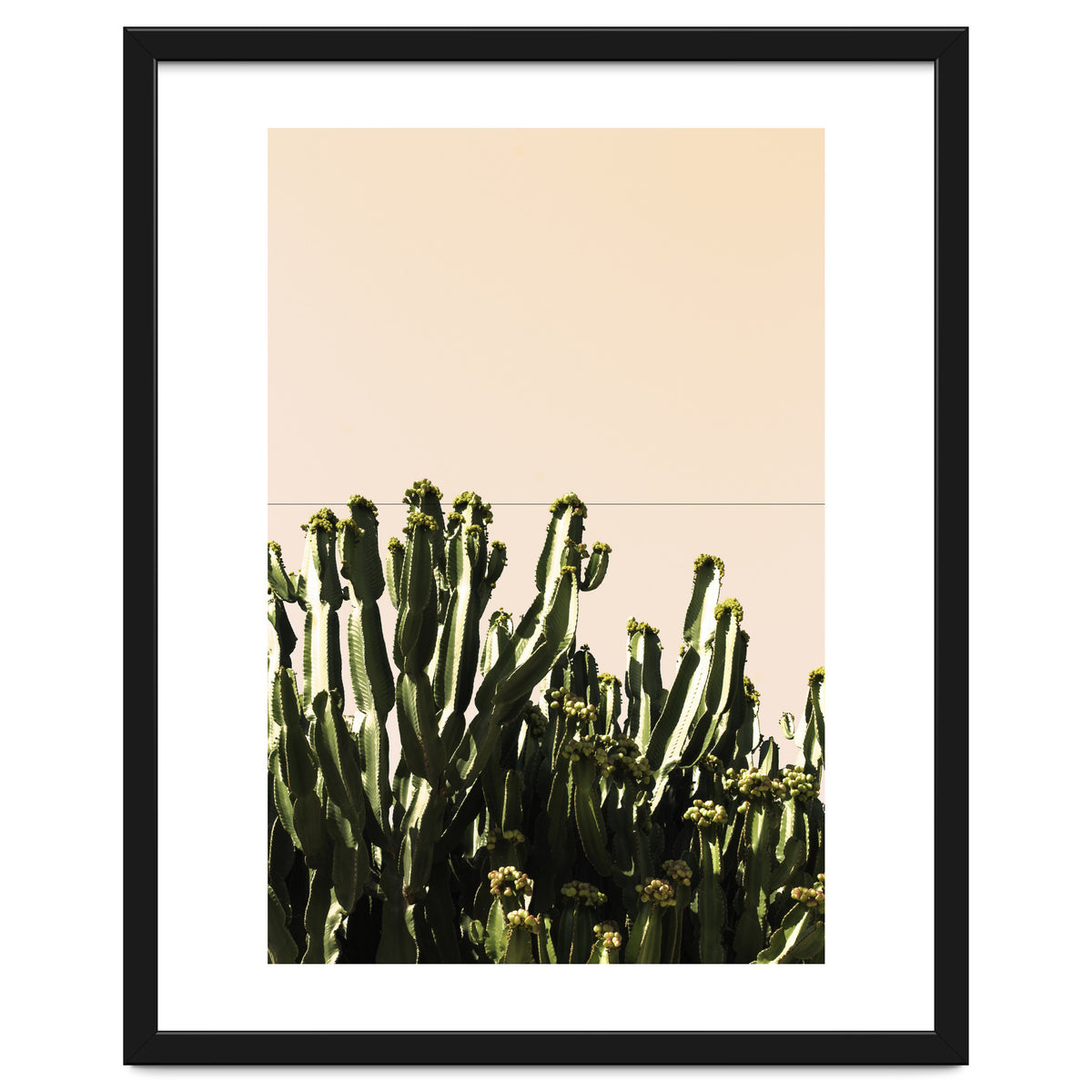 Cactus Vertical Color