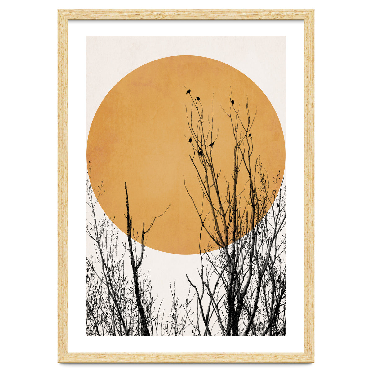 Sunset Dreams Yellow