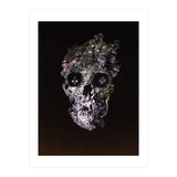 Metamorphosis  (Print Only) thumbnail