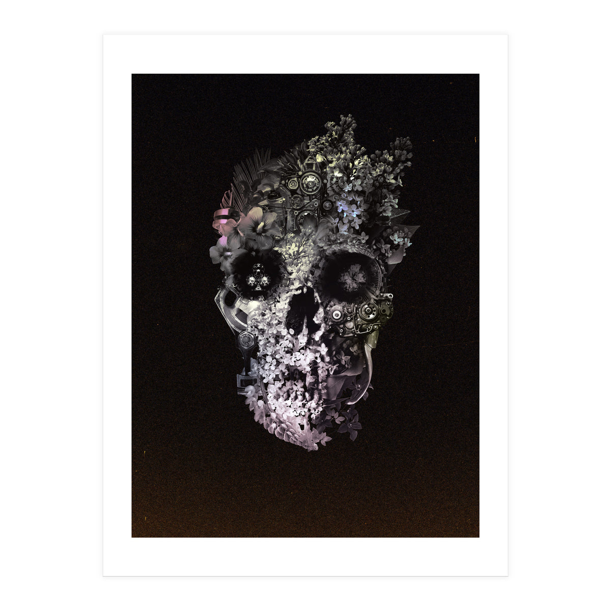 Metamorphosis  (Print Only)