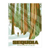 Sequoia National Park Poster (Print Only) thumbnail