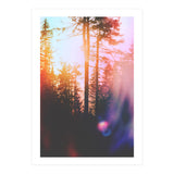 Finding Light (Print Only) thumbnail
