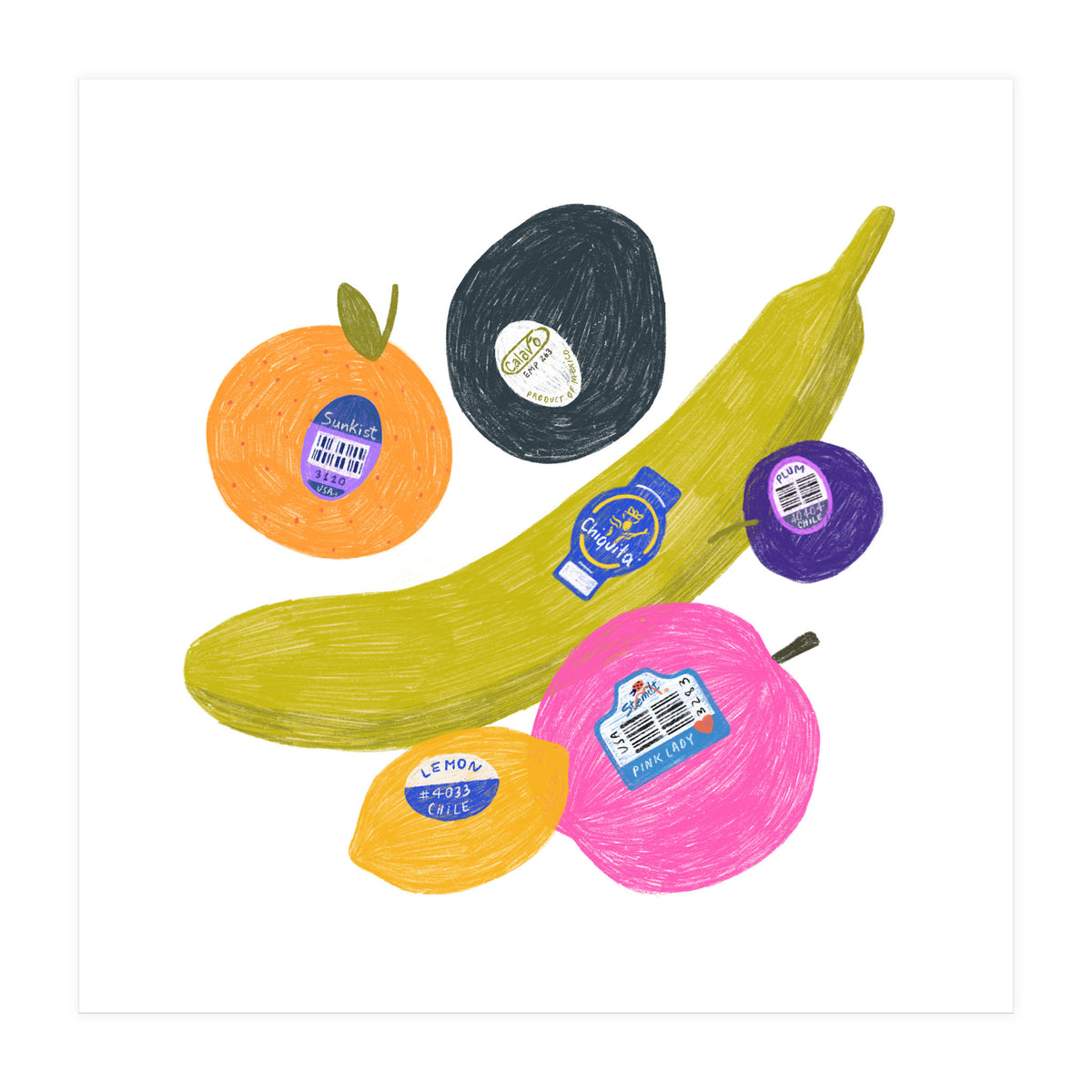 Fruit Stickers Square (Print Only)