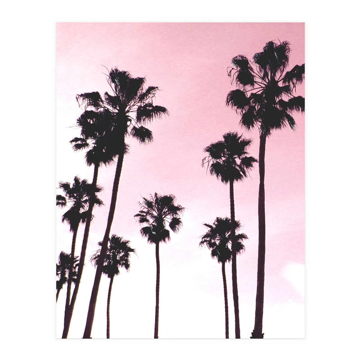 Palms & Sunset (Print Only)