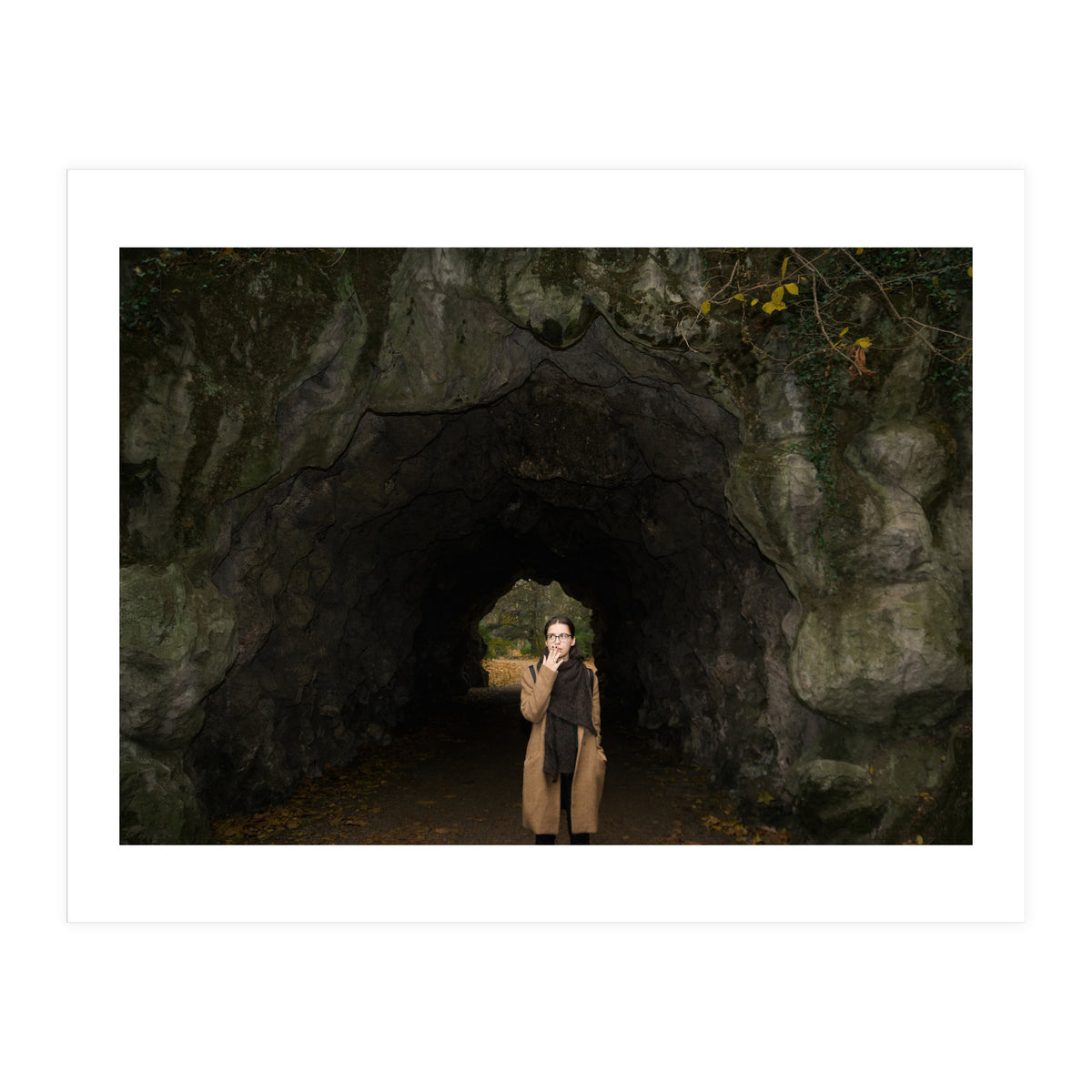 Transition from Summer to Winter (Print Only)