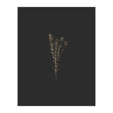 Moody Golden Botanicals (Print Only) thumbnail