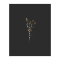 Moody Golden Botanicals (Print Only)