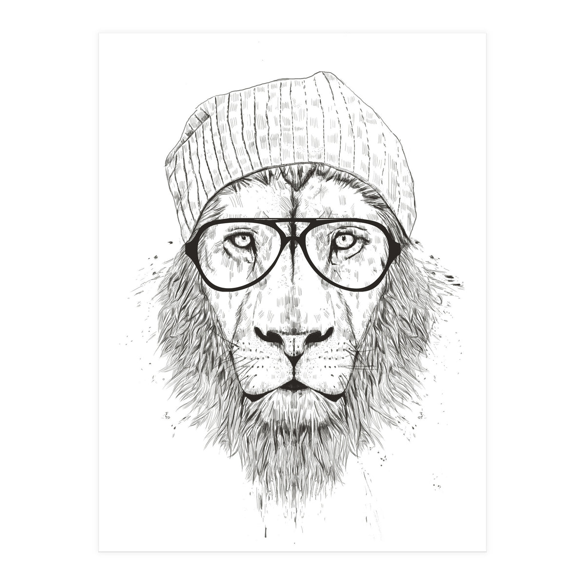 Cool Lion Bw (Print Only)