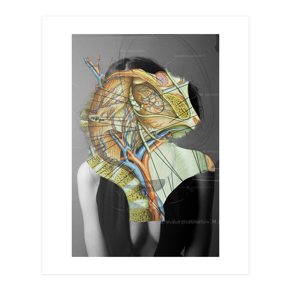 Crazy Woman 210 (Print Only)