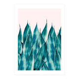 Summer Agave (Print Only) thumbnail