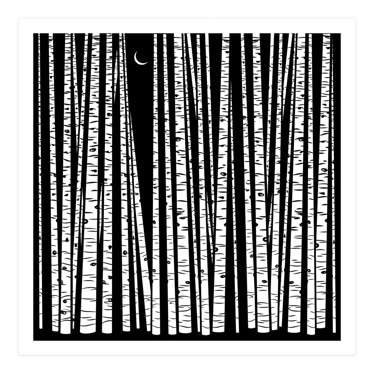 See the Forest... (Print Only)