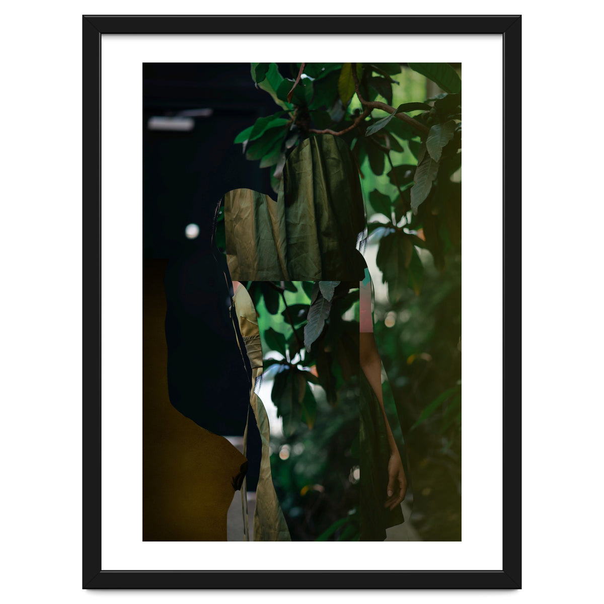 Disappeared Dreams 5