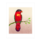 Purple-naped lory (Print Only) thumbnail