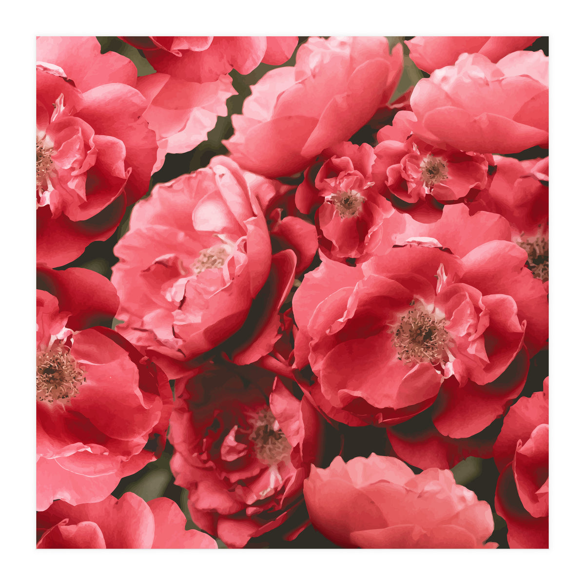 Christina (Print Only)