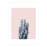 Cactus collection BL-III (Print Only) thumbnail