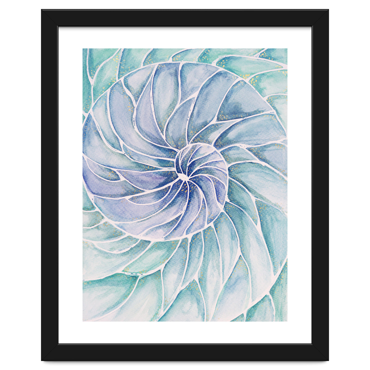 The inside of a shell