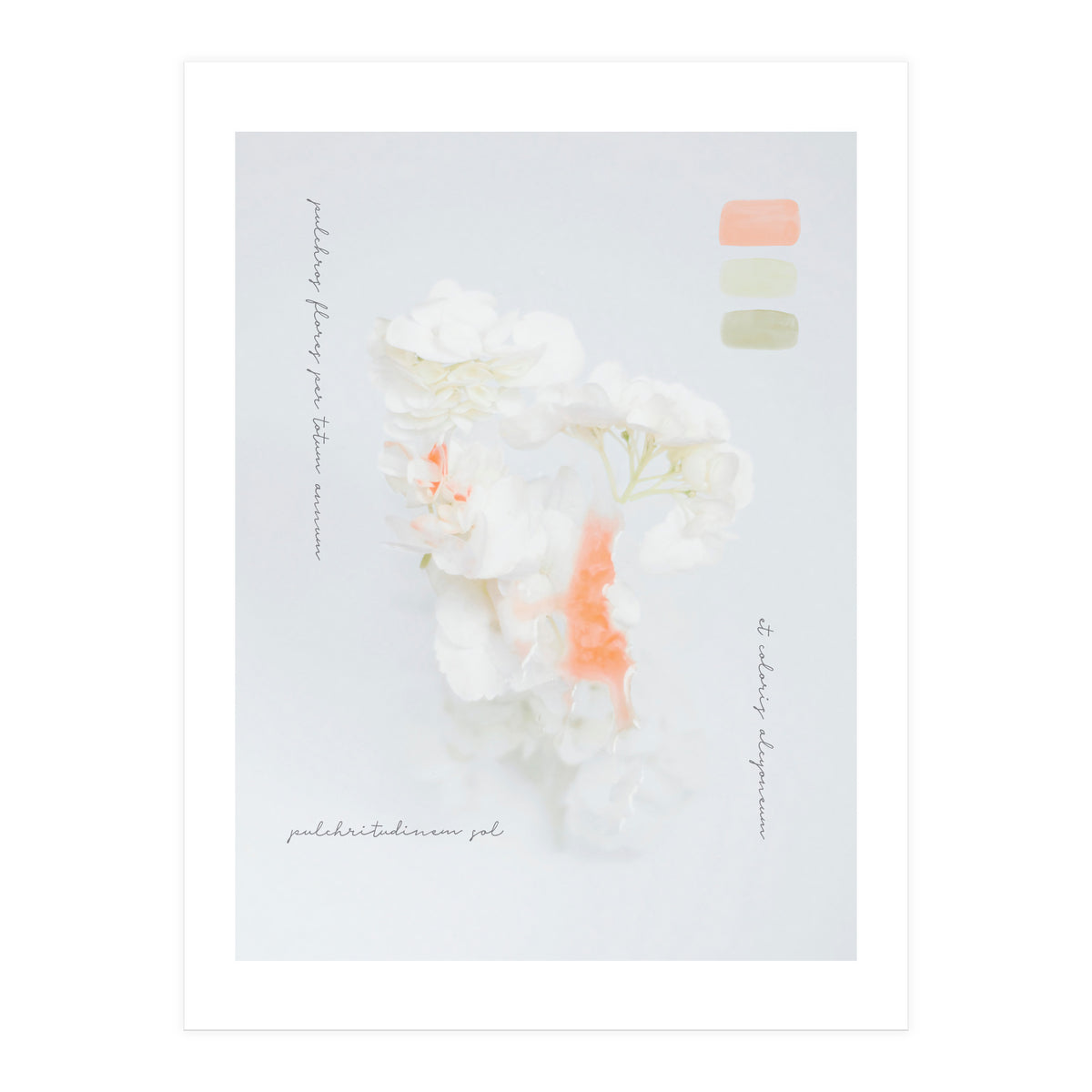 Modern Vintage Botanic (Print Only)