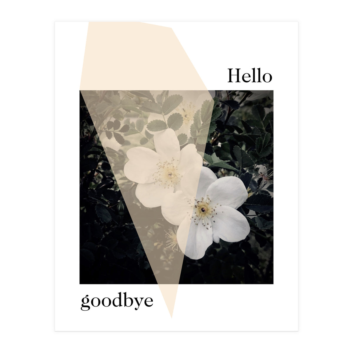 Hello goodbye  (Print Only)