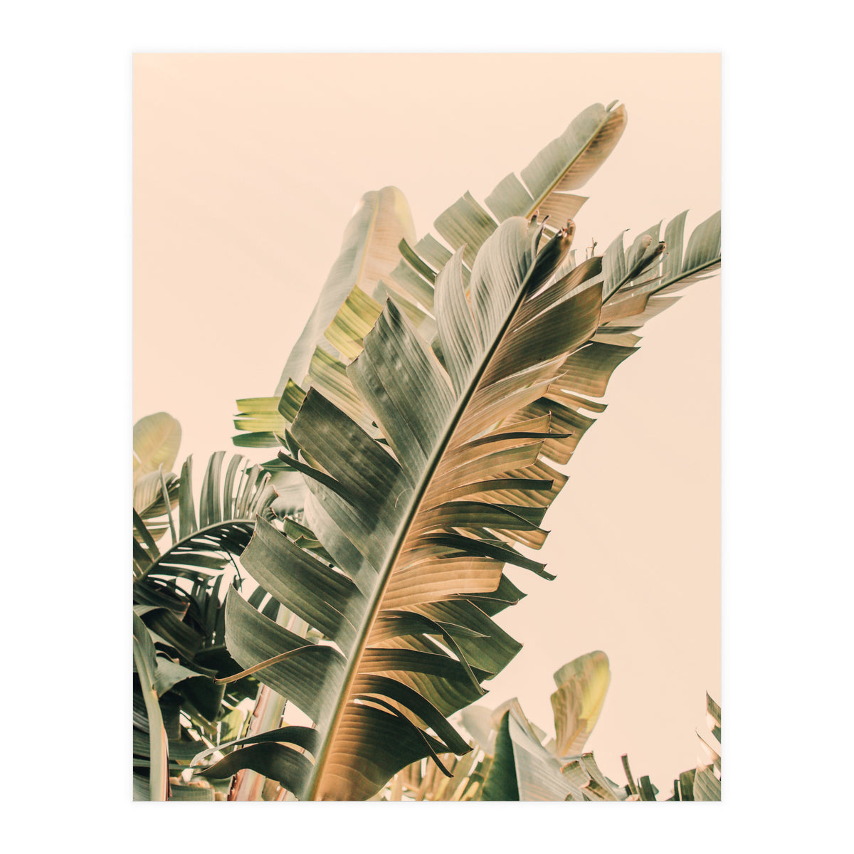 Growing Green Alicia Bock (Print Only)