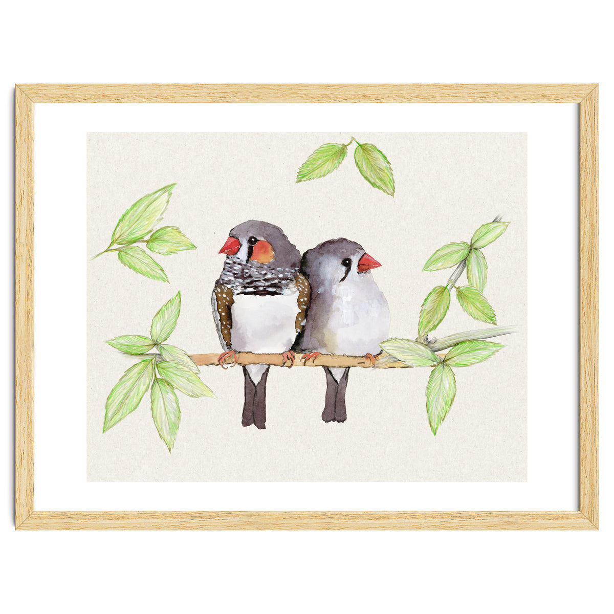Sweet couple of zebra finches