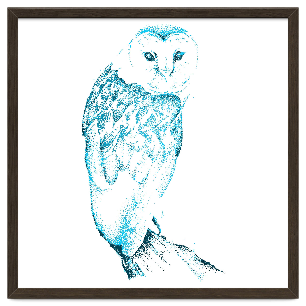 Barn Owl in Teal