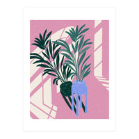 Pink Shadows (Print Only)