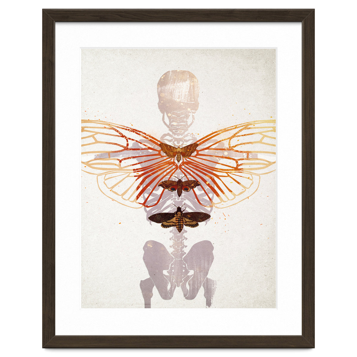 Ikarus - Like a Moth to the Flame