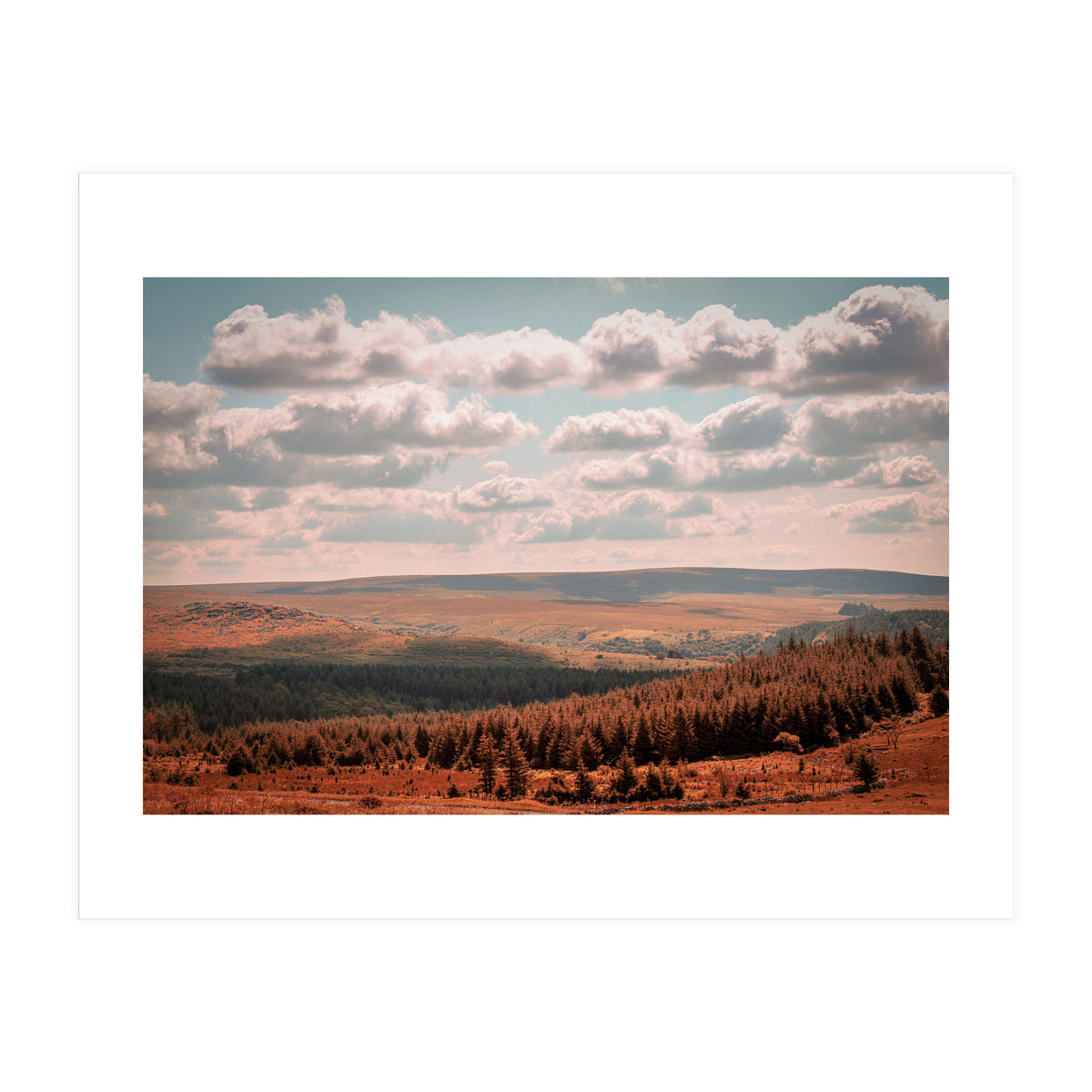 Dartmoor forest (Print Only)