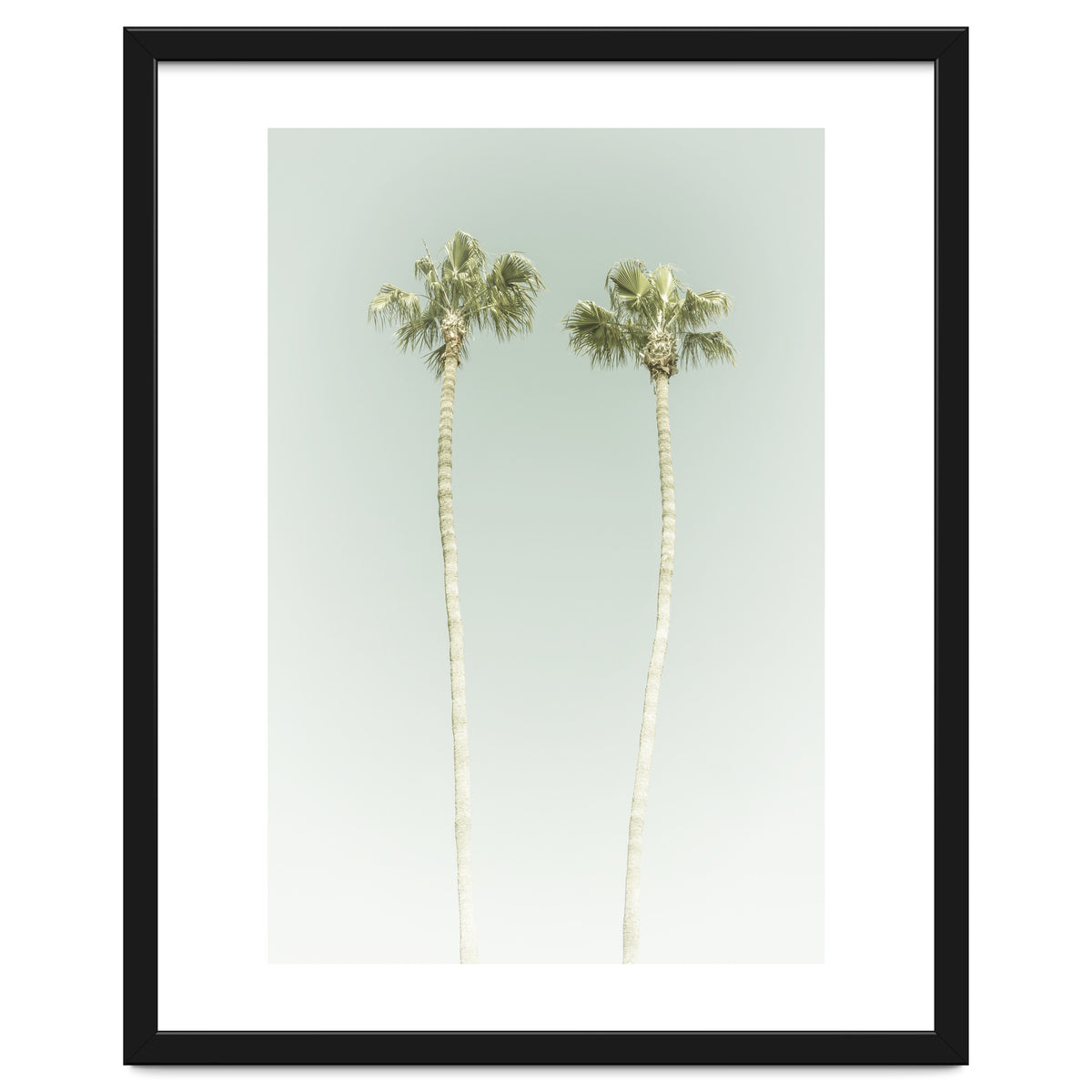 Vintage Palm Trees