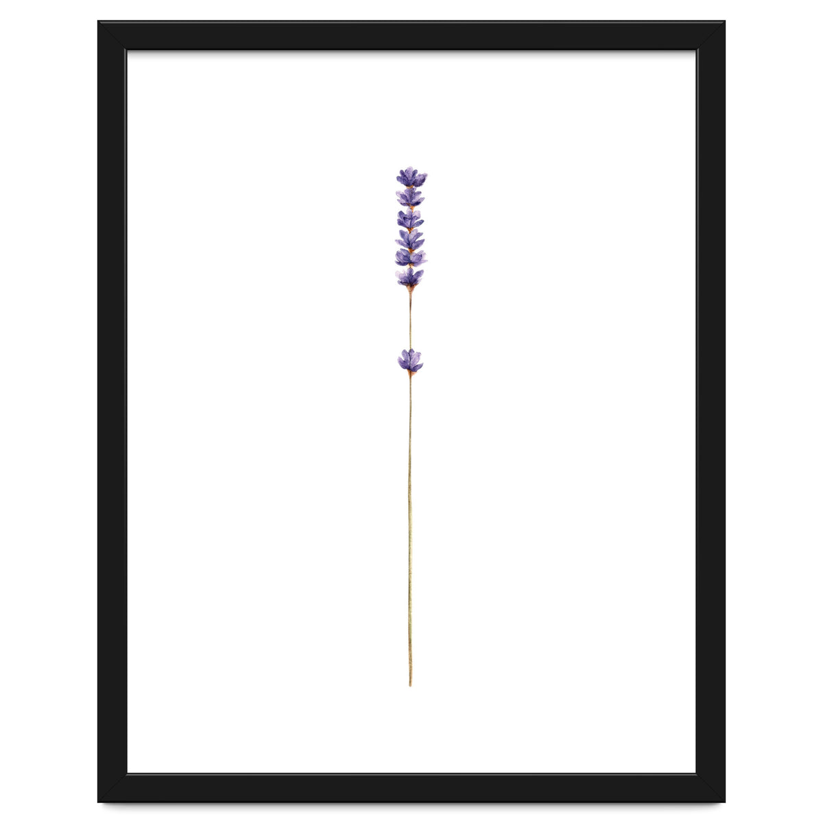 Lavender twig
