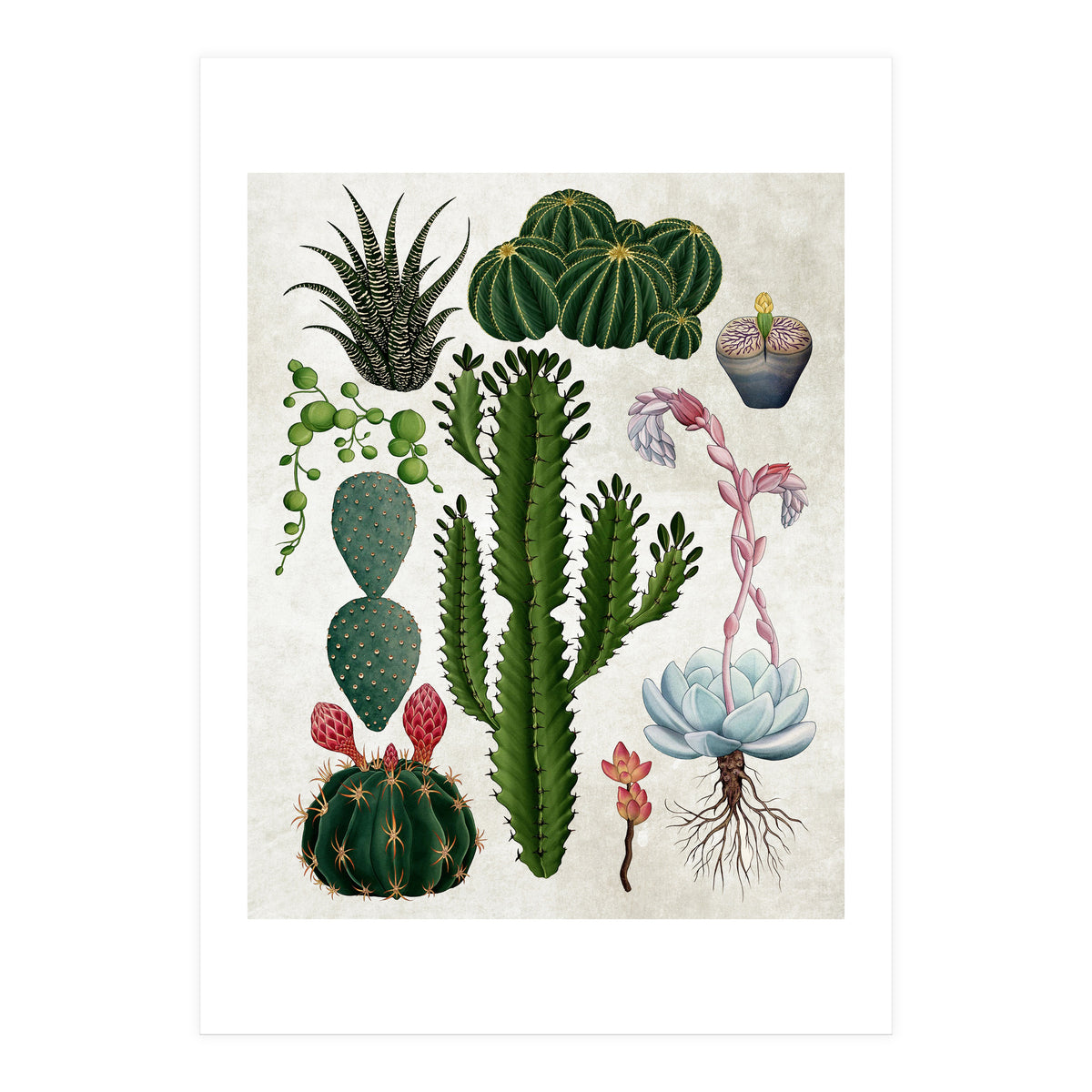 botanical (Print Only)