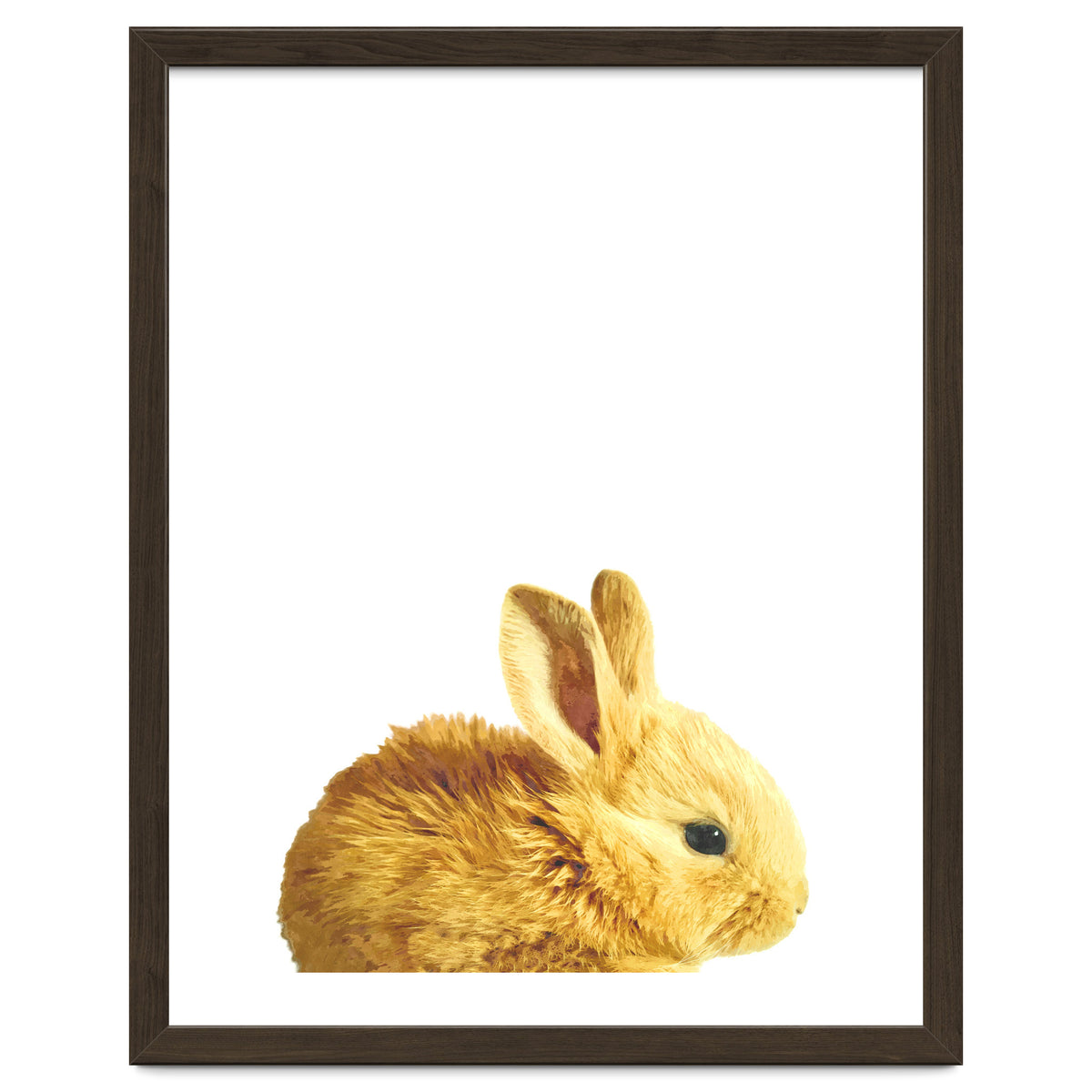 Bunny Portrait