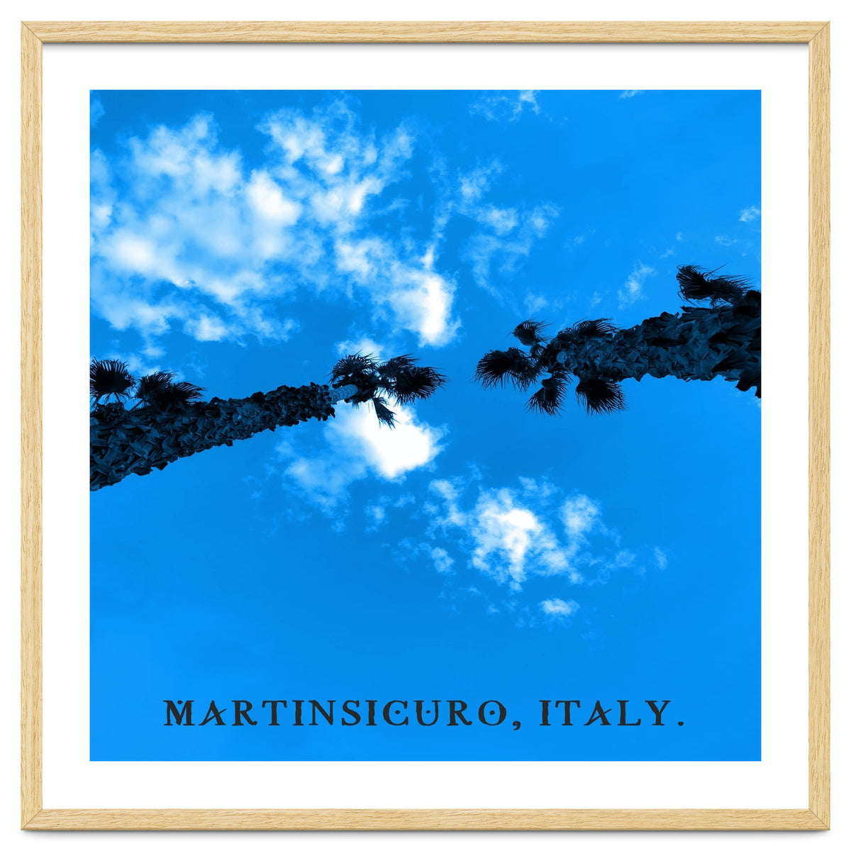 Trees And Sky In MartinSicuro