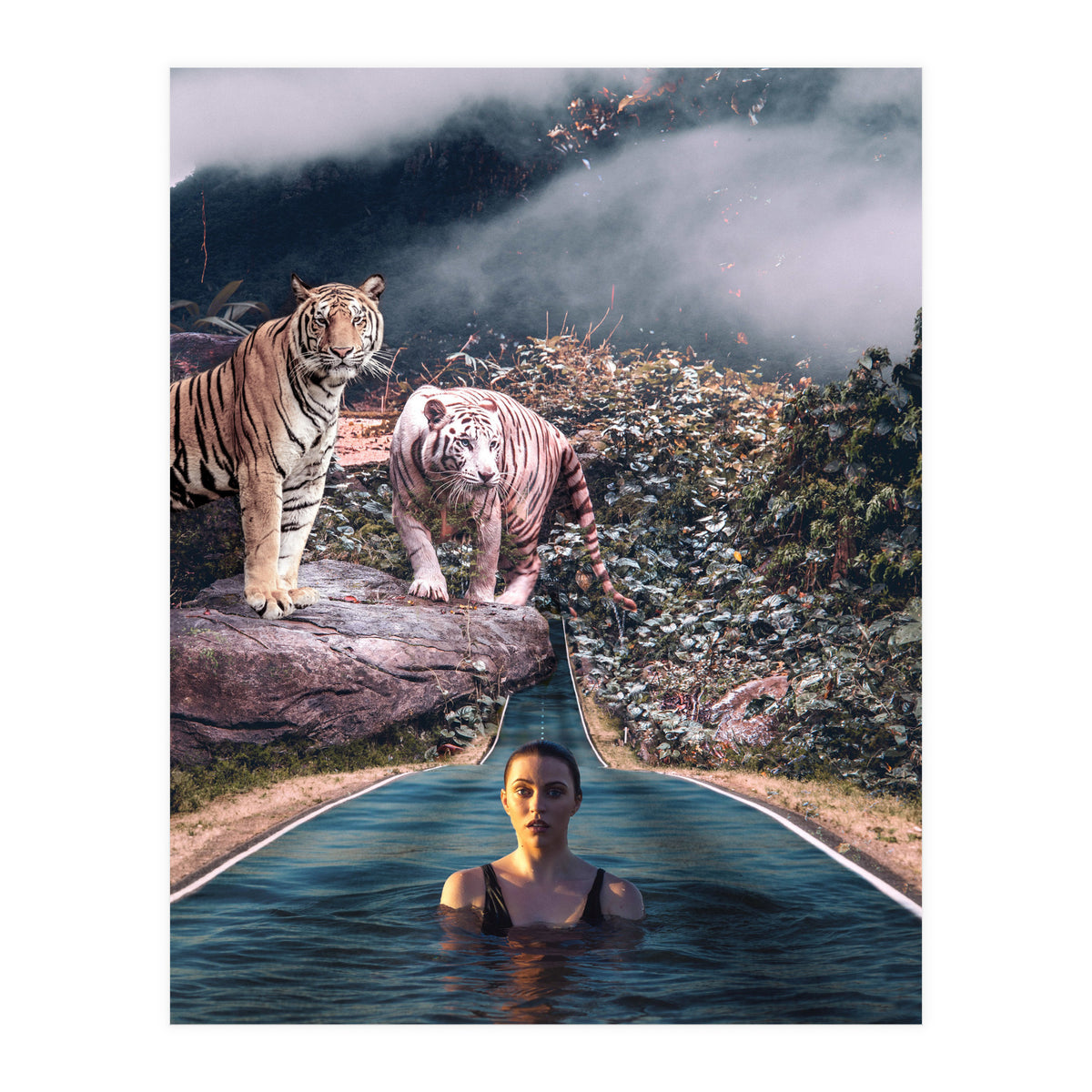 Infinite Pool To Tiger Jungle (Print Only)