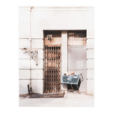 NewYorkCity Streets_ Street Cart (Print Only) thumbnail