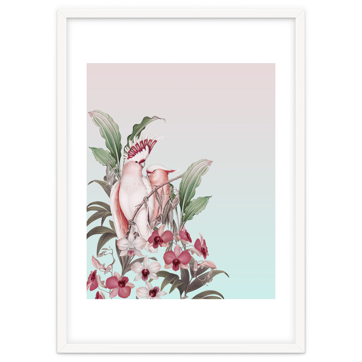 Pastel Cockatoos Paradise