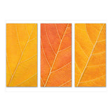 Autumn Leaves (Print Only) thumbnail