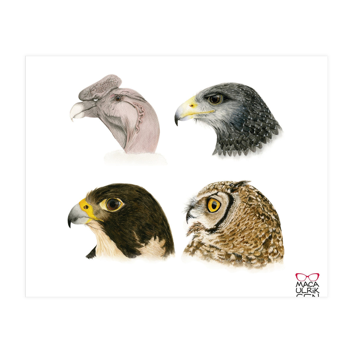 Profile raptors (Print Only)
