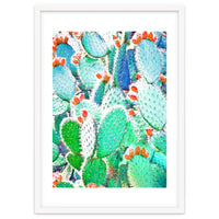 Painted Cactus