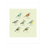 The Tit Family (Print Only) thumbnail