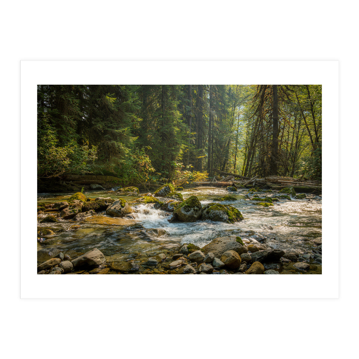 Cascade River (Print Only)
