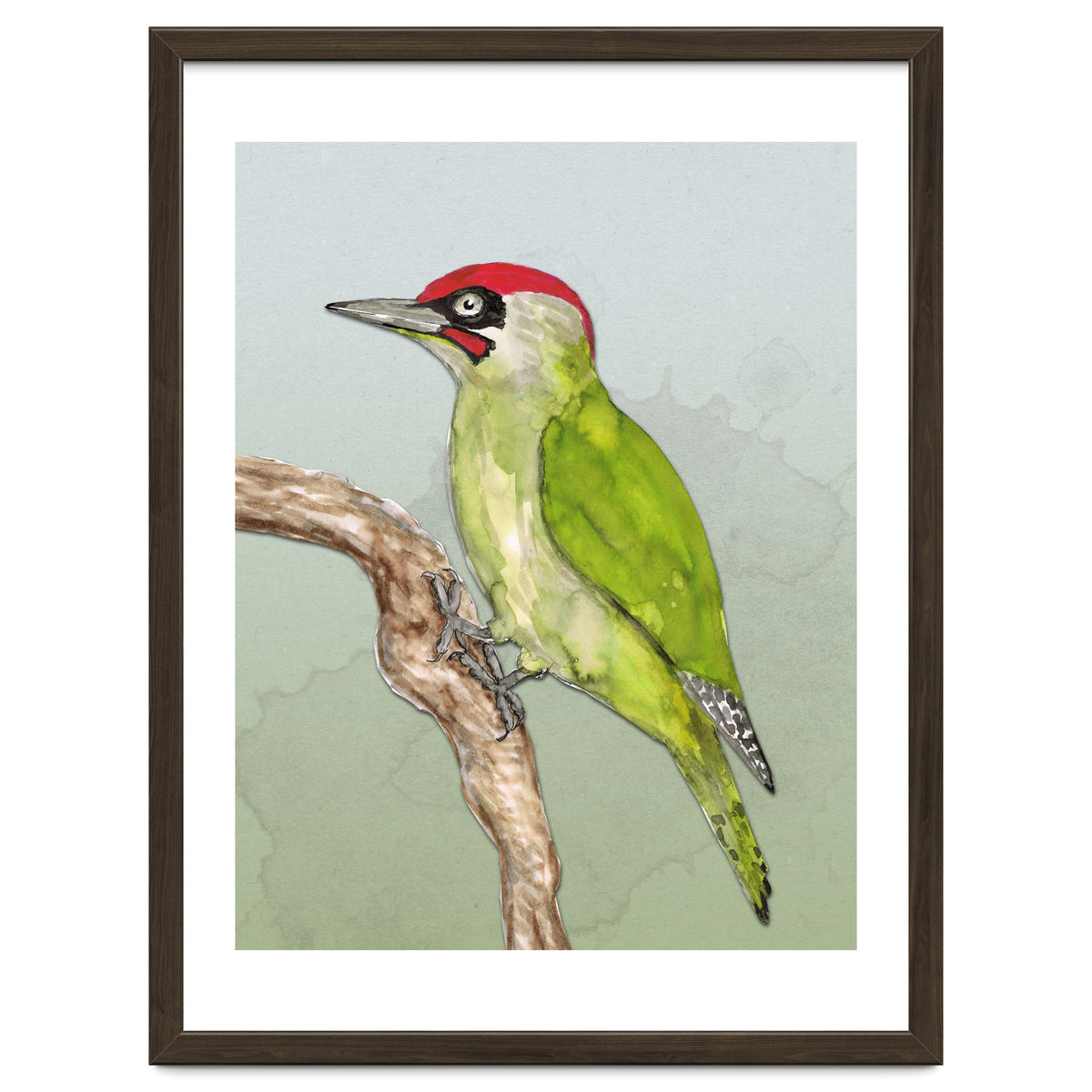 Green woodpecker