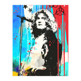 Robert Plant pop art poster (Print Only) thumbnail