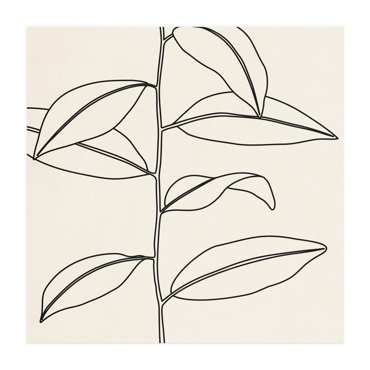 LEAF IN LINE 01 (Print Only)