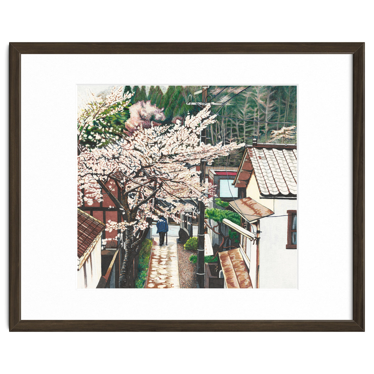 Passing by Cherry Blossoms