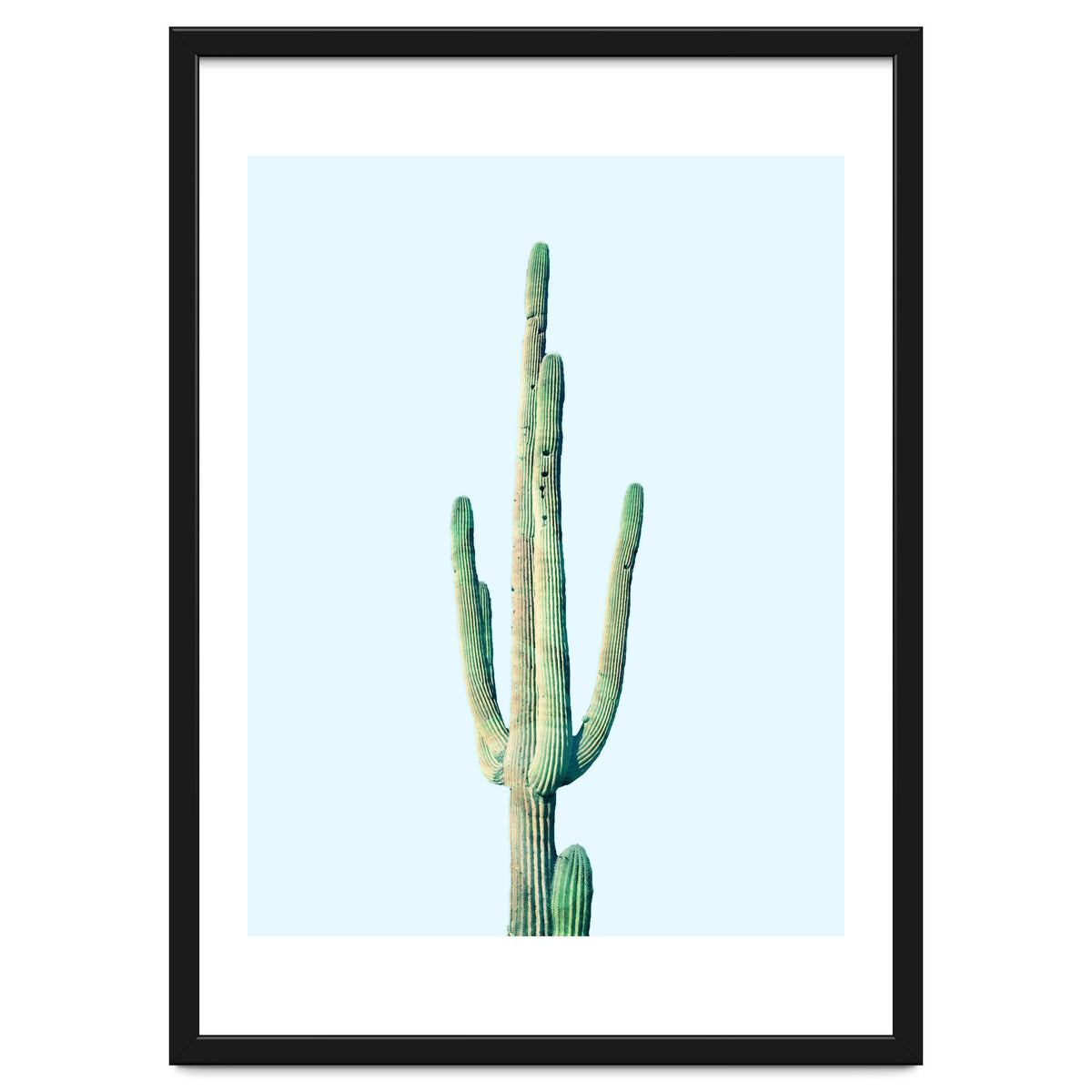 Loner Cactus